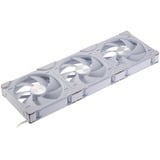 Phanteks D30-140 PWM Regular case fan Wit, 3 stuks, 4-pins PWM fan-connector