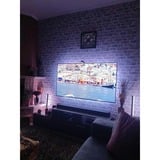 Govee RGBIC TV Light Bars 45-70" tv's verlichting Zwart, WiFi, BT