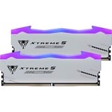 Patriot 32 GB DDR5-6400 (2x 16 GB) Dual-Kit werkgeheugen Zwart, PVXR532G80C38KM, Viper Xtreme 5 MPower RGB, XMP 3.0