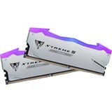 Patriot 32 GB DDR5-6400 (2x 16 GB) Dual-Kit werkgeheugen Zwart, PVXR532G80C38KM, Viper Xtreme 5 MPower RGB, XMP 3.0