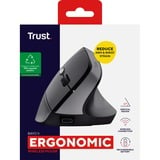 Trust Bayo II Ergonomische draadloze muis Zwart, 800 dpi - 2.400 dpi