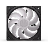 ENDORFY Fluctus 120 PWM ARGB case fan Zwart/transparant, 4-pin PWM