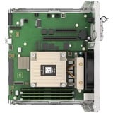 Hewlett Packard Enterprise ProLiant MicroServer Gen11 (P68819-421) serversysteem Zwart | Pentium Gold G7400 | 16 GB