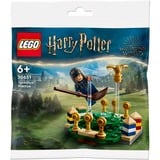 LEGO Harry Potter - Zwerkbal training Constructiespeelgoed 30651