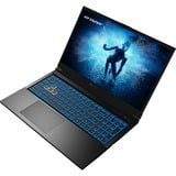 Erazer Deputy P60 MD62624 15.6"  gaming laptop Zwart | i7-13620H | RTX 4070 | 16 GB | 1 TB SSD