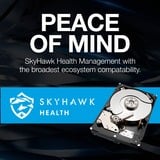 Seagate SkyHawk 2 TB harde schijf SATA 6 Gb/s, 3 jaar Rescue Data Recovery Services