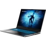 Erazer Defender P50 MD62587 17.3"  gaming laptop Zwart | Core i7-12650H | RTX 4060 | 16 GB | 512 GB SSD