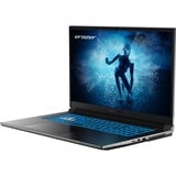 Erazer Defender P50 MD62587 17.3"  gaming laptop Zwart | Core i7-12650H | RTX 4060 | 16 GB | 512 GB SSD