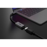 Sitecom USB-C naar DisplayPort 1.4 adapter Grijs