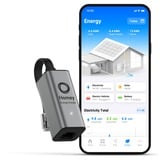 Homey Energy Dongle energiebesparing Grijs, P1, USB-C, Wi-Fi 6, Bluetooth 5 LE