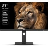 Dahua DHI-LM27-P301A 27" monitor Zwart, 75 Hz, HDMI, DisplayPort