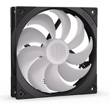 ENDORFY Fluctus 140 PWM ARGB case fan Zwart/transparant, 4-pin PWM