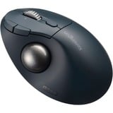 Kensington  trackball Zwart/blauw