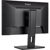 iiyama ProLite XUB2493HSU-B7 24" monitor Zwart (mat), 100 Hz, HDMI, DisplayPort, USB, Audio, Adaptive Sync