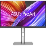 ASUS ProArt Display PA24ACRV 24" monitor Zilver/grijs, 1x HDMI, 2x DisplayPort