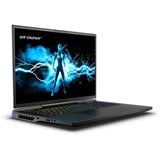 Erazer Beast X40 MD62613 17"  gaming laptop Zwart | i9-14900HX | RTX 4090 | 32 GB | 2x 1 TB SSD