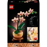 LEGO Botanical Collection - Miniorchidee Constructiespeelgoed 10343