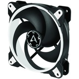 ARCTIC BioniX P120 case fan Zwart/wit, 4-pins PWM fan-connector