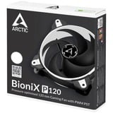 ARCTIC BioniX P120 case fan Zwart/wit, 4-pins PWM fan-connector