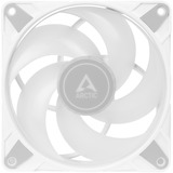 ARCTIC P14 PWM PST A-RGB case fan Wit, 4-pin PWM