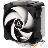 ARCTIC Freezer 7 X cpu-koeler 