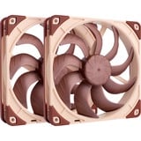 Noctua  case fan 