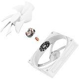 NZXT F120P case fan Wit