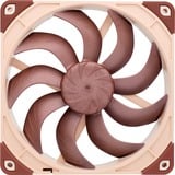 Noctua  case fan 