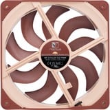 Noctua  case fan 