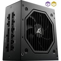 Sharkoon Rebel P20, 750 Watt voeding  Zwart, 4x PCIe, 1x 12VHPWR, Kabelmanagement