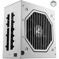 Sharkoon Rebel P20 1000 White voeding  Wit, 1x 12VHPWR, 4x PCIe, kabelmanagement