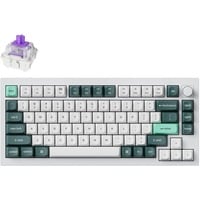 Keychron Q1 HE-P1, toetsenbord Wit, US lay-out, Gateron Double-Rail Magnetic Nebula, 75%, Hot-swappable, RGB LED, OSA Double-shot PBT keycaps, USB-C / 2.4 GHz / Bluetooth, Knob