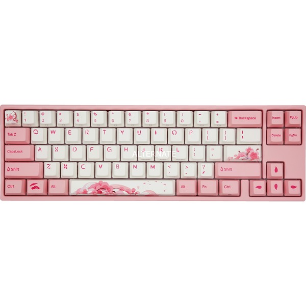 miya pro sakura