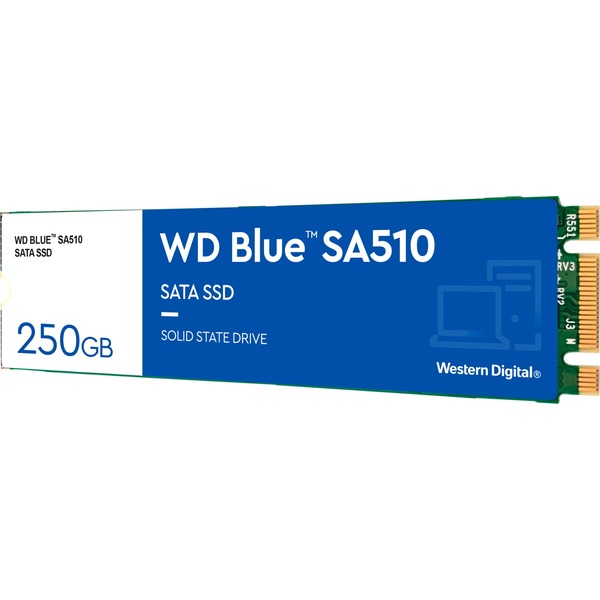 Blijkbaar kathedraal bevroren WD Blue SA510 250 GB SSD Blauw/wit, WDS250G3B0B, M.2 2280